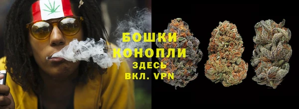 стаф Белокуриха