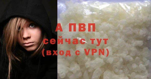гашик Баксан