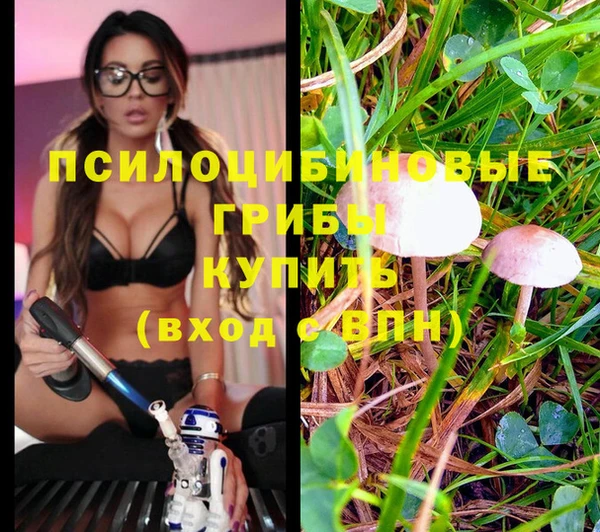 синтетический гашиш Белоозёрский