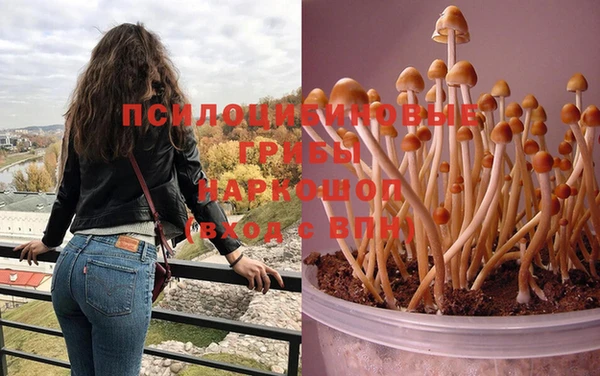 гашик Баксан